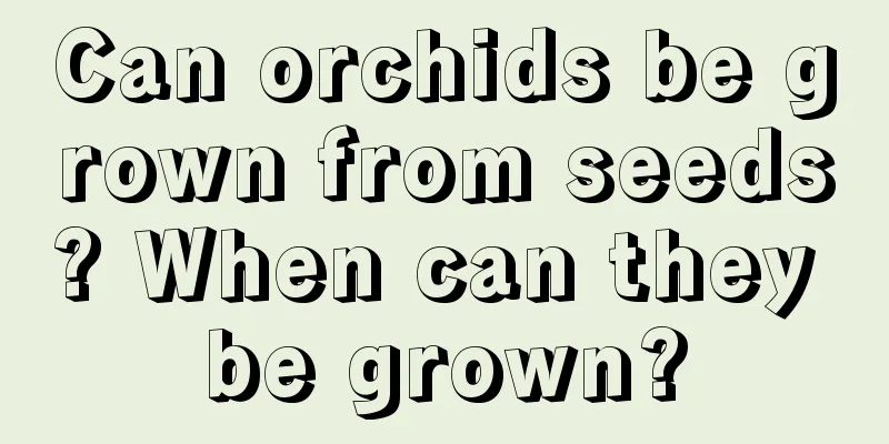 Can orchids be grown from seeds? When can they be grown?