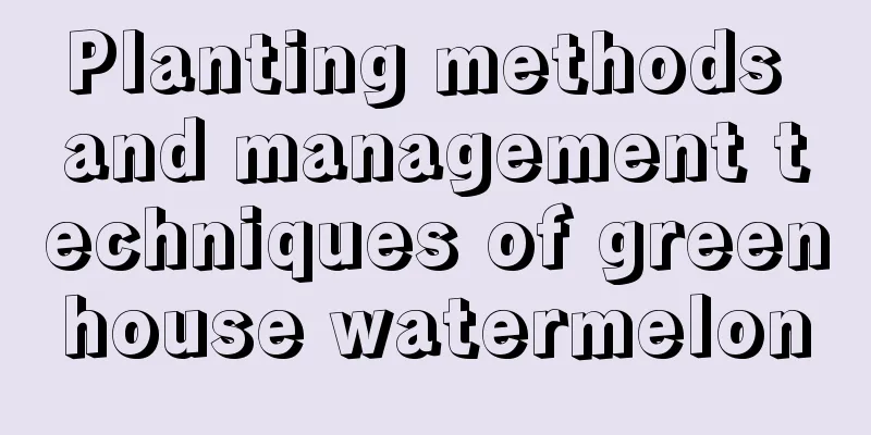 Planting methods and management techniques of greenhouse watermelon