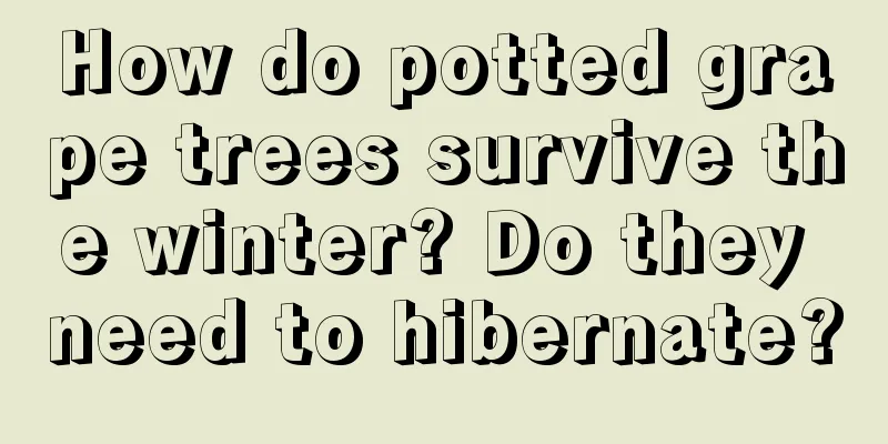 How do potted grape trees survive the winter? Do they need to hibernate?