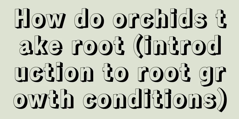 How do orchids take root (introduction to root growth conditions)