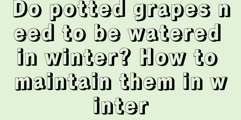 Do potted grapes need to be watered in winter? How to maintain them in winter