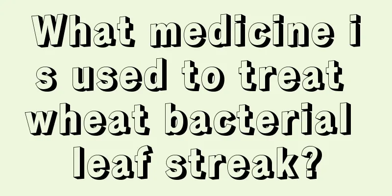 What medicine is used to treat wheat bacterial leaf streak?