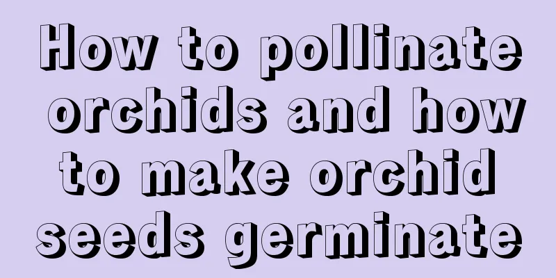 How to pollinate orchids and how to make orchid seeds germinate