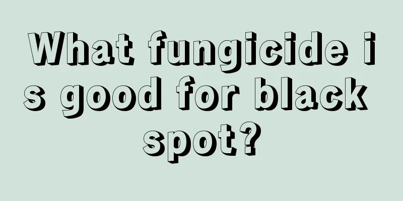 What fungicide is good for black spot?