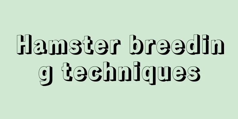 Hamster breeding techniques