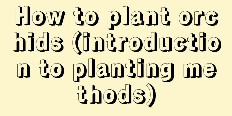 How to plant orchids (introduction to planting methods)