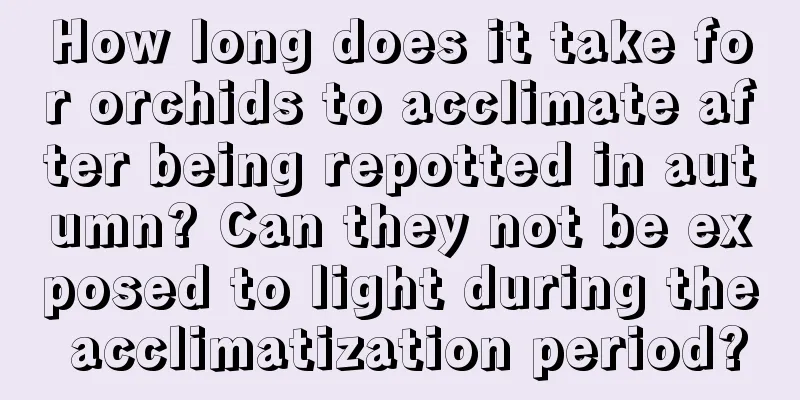 How long does it take for orchids to acclimate after being repotted in autumn? Can they not be exposed to light during the acclimatization period?