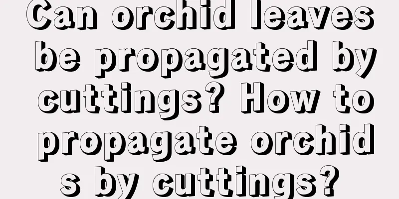 Can orchid leaves be propagated by cuttings? How to propagate orchids by cuttings?