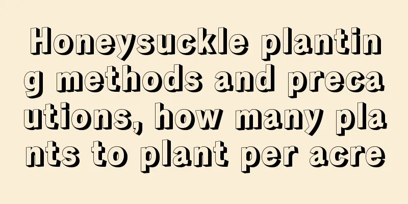 Honeysuckle planting methods and precautions, how many plants to plant per acre