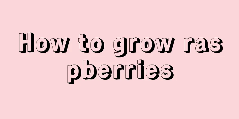 How to grow raspberries