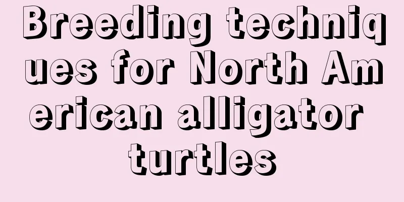 Breeding techniques for North American alligator turtles