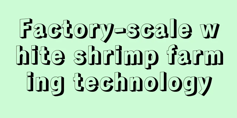 Factory-scale white shrimp farming technology