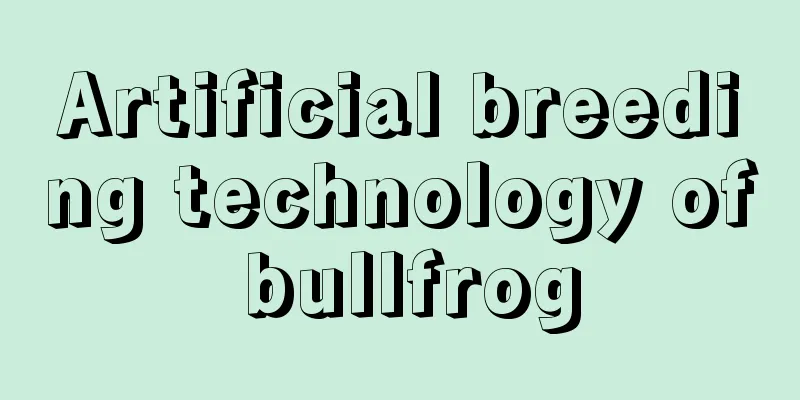 Artificial breeding technology of bullfrog