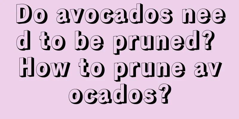 Do avocados need to be pruned? How to prune avocados?