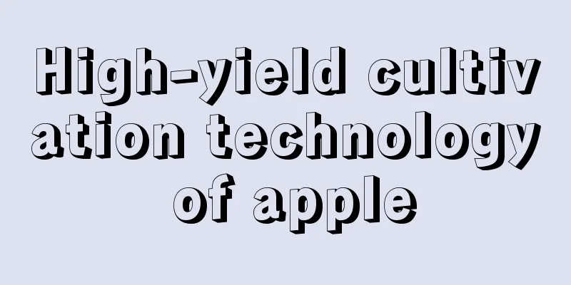 High-yield cultivation technology of apple