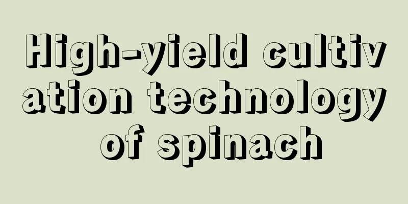 High-yield cultivation technology of spinach