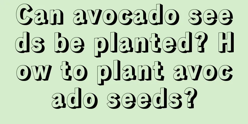 Can avocado seeds be planted? How to plant avocado seeds?