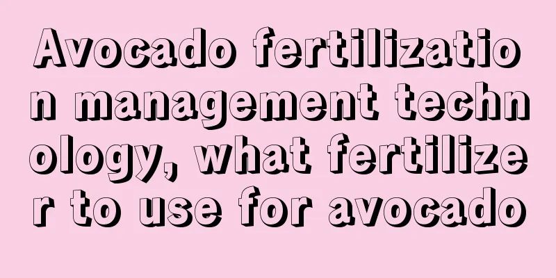 Avocado fertilization management technology, what fertilizer to use for avocado