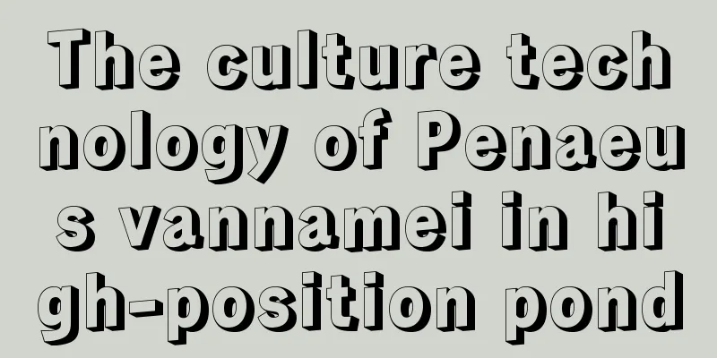 The culture technology of Penaeus vannamei in high-position pond