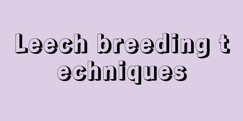 Leech breeding techniques