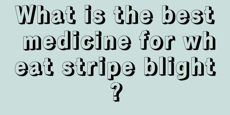 What is the best medicine for wheat stripe blight?