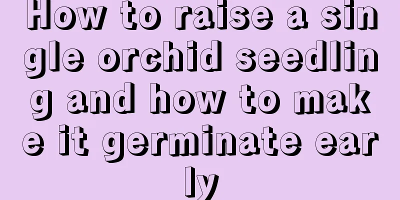 How to raise a single orchid seedling and how to make it germinate early