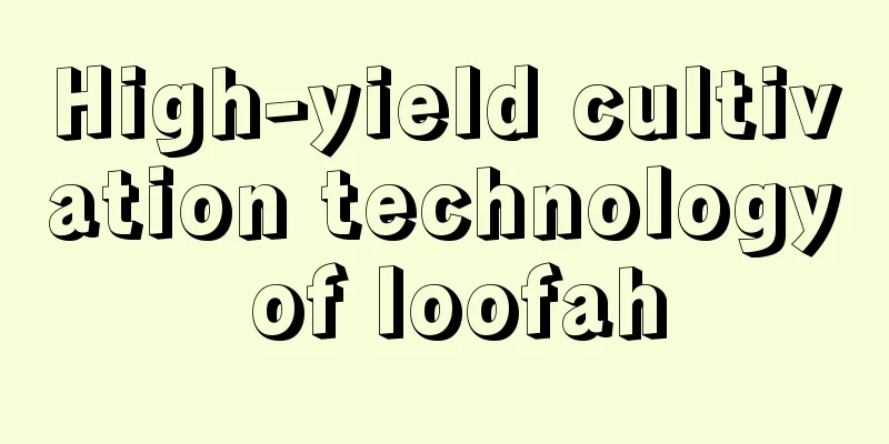 High-yield cultivation technology of loofah