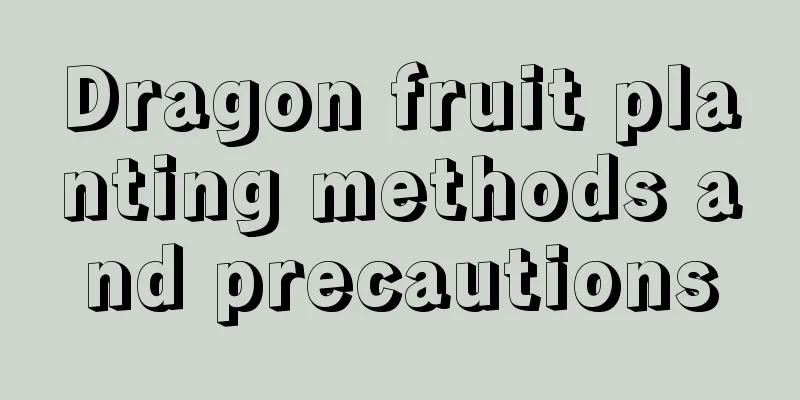 Dragon fruit planting methods and precautions