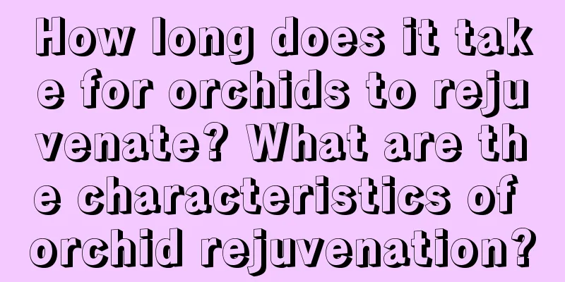 How long does it take for orchids to rejuvenate? What are the characteristics of orchid rejuvenation?