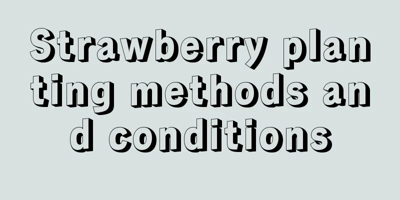 Strawberry planting methods and conditions