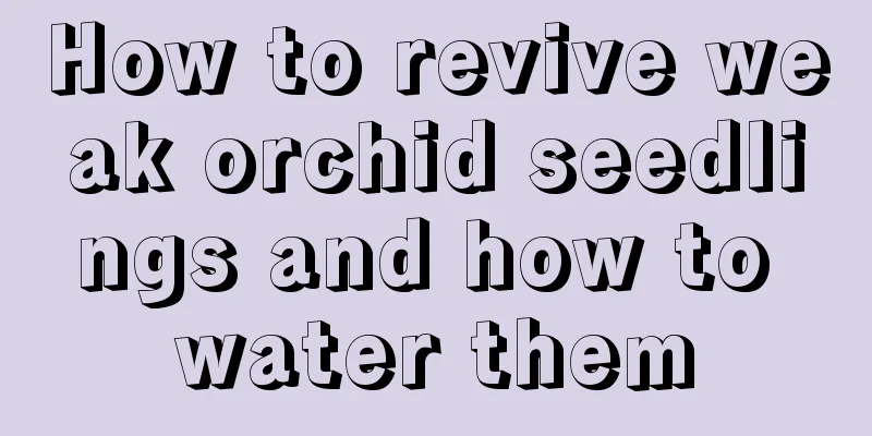 How to revive weak orchid seedlings and how to water them