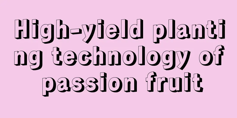 High-yield planting technology of passion fruit