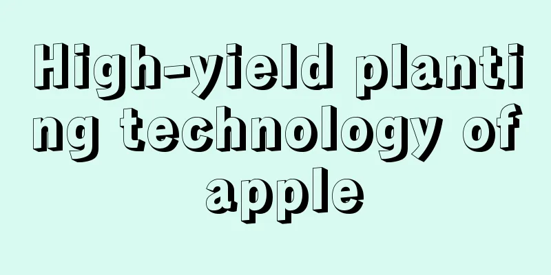 High-yield planting technology of apple