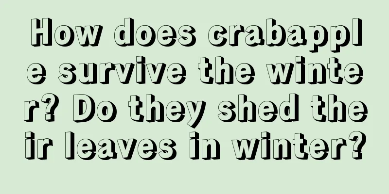 How does crabapple survive the winter? Do they shed their leaves in winter?