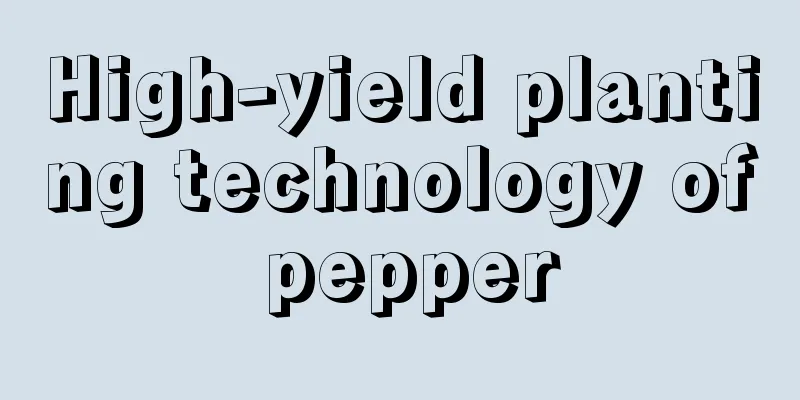 High-yield planting technology of pepper