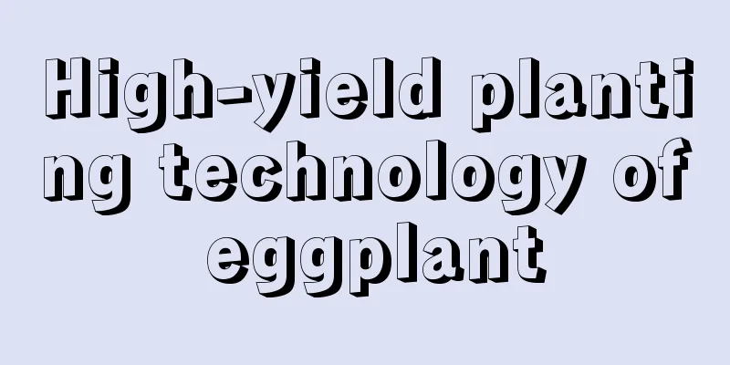 High-yield planting technology of eggplant