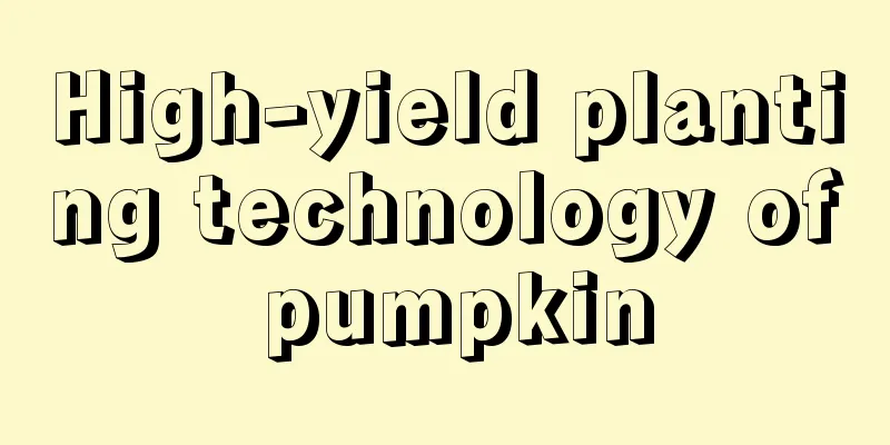 High-yield planting technology of pumpkin