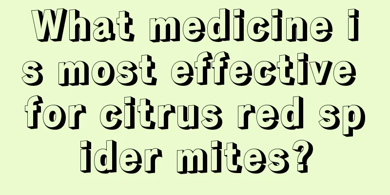 What medicine is most effective for citrus red spider mites?