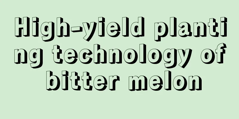 High-yield planting technology of bitter melon