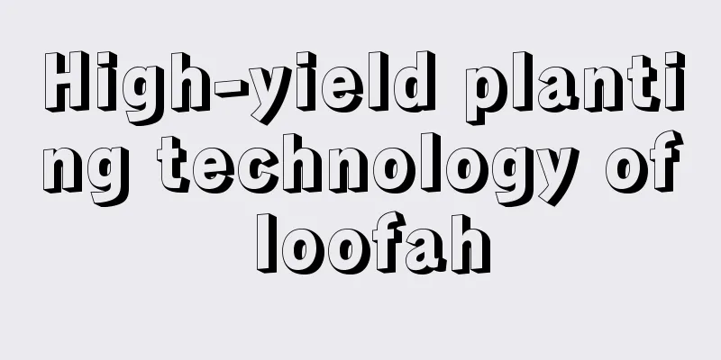 High-yield planting technology of loofah