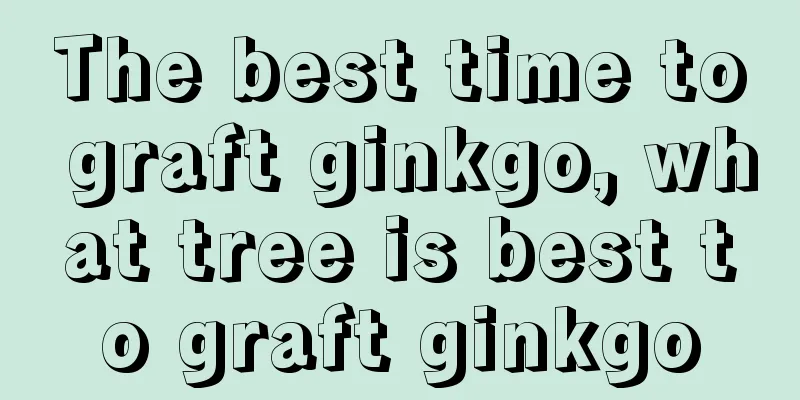 The best time to graft ginkgo, what tree is best to graft ginkgo