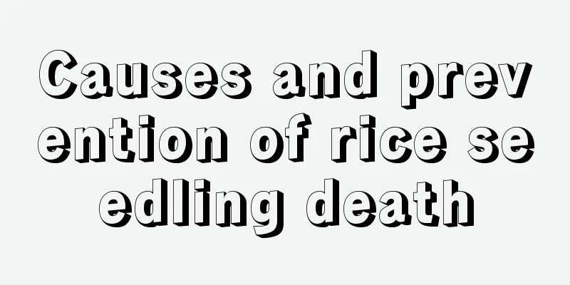 Causes and prevention of rice seedling death