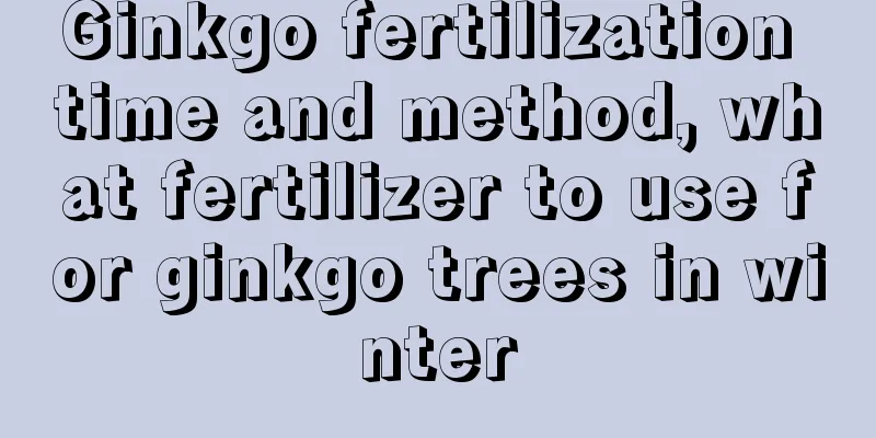 Ginkgo fertilization time and method, what fertilizer to use for ginkgo trees in winter