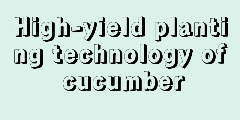 High-yield planting technology of cucumber