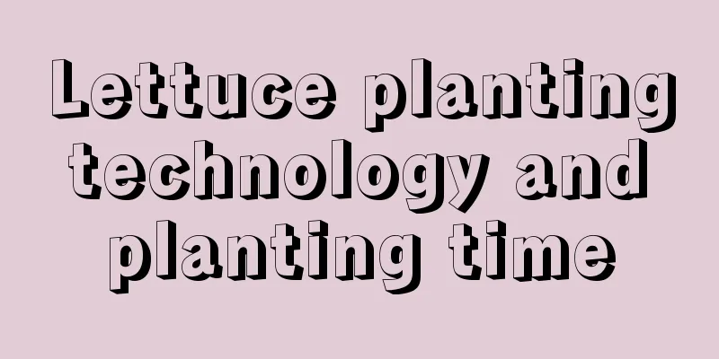 Lettuce planting technology and planting time