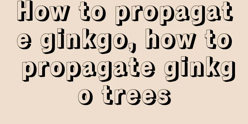 How to propagate ginkgo, how to propagate ginkgo trees