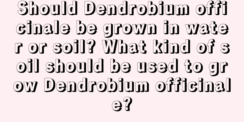 Should Dendrobium officinale be grown in water or soil? What kind of soil should be used to grow Dendrobium officinale?