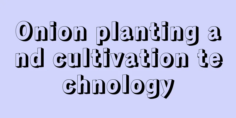 Onion planting and cultivation technology