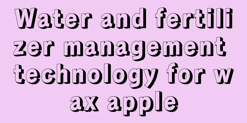 Water and fertilizer management technology for wax apple