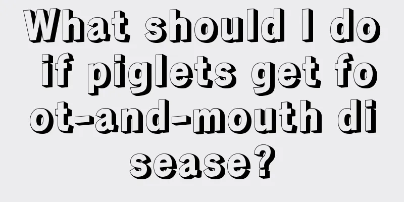 What should I do if piglets get foot-and-mouth disease?